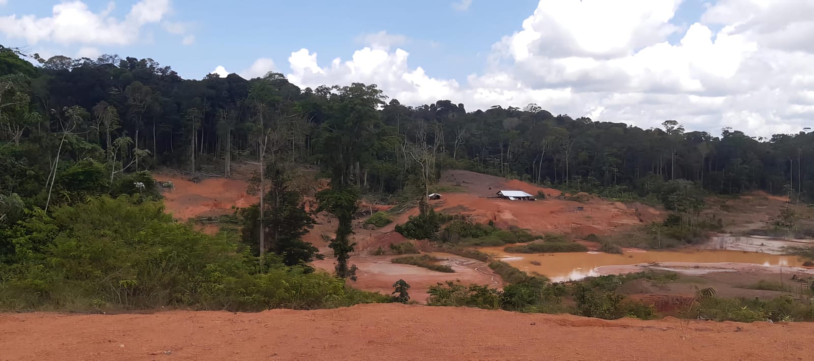 Sam Core Tryomph NV mining site overlooking rainforest