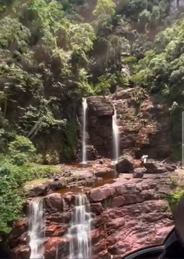 Rainforest and waterfall landscape in Suriname.